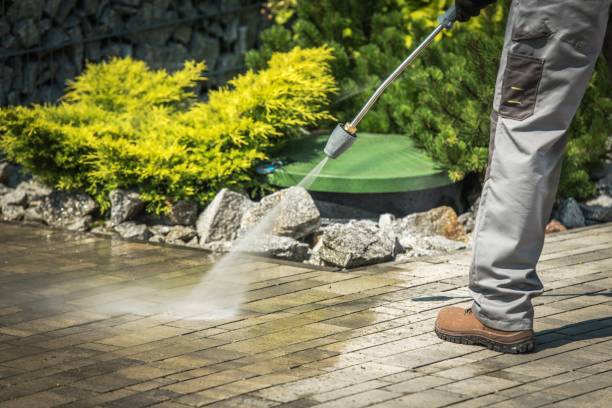 Best Roof Washing  in Danville, VA