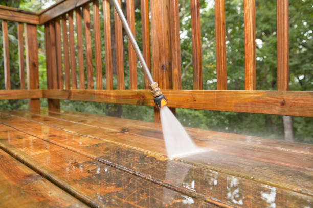 Animal Enclosure Cleaning in Danville, VA